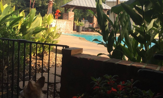 Milton House | Cajun Getaway: "Home Away From Home" A little piece of paradise. Very relaxing.