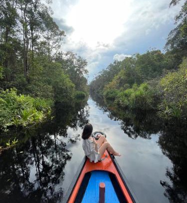 Kalimantan Boat Rental | Cakrawala Borneo Tour Tanjung puting