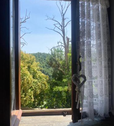 Calcata Apartment | Calcata - La Casa di Bianca
