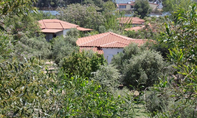Kakovatos House | Calm located, amid an olive grove, close to the beach, wifi | holiday house Ilia