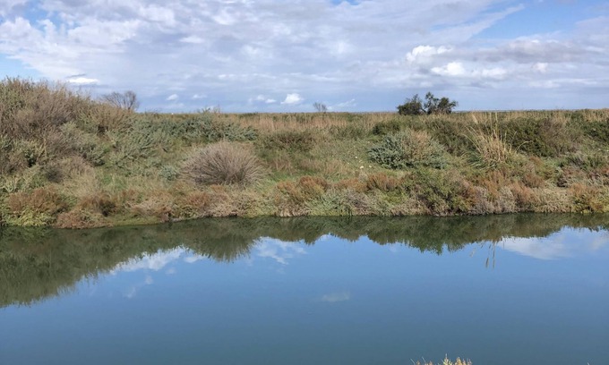 Saintes-Maries-de-la-Mer House | CAMARGUE: House in the village, with private pool, 200 m from the beach