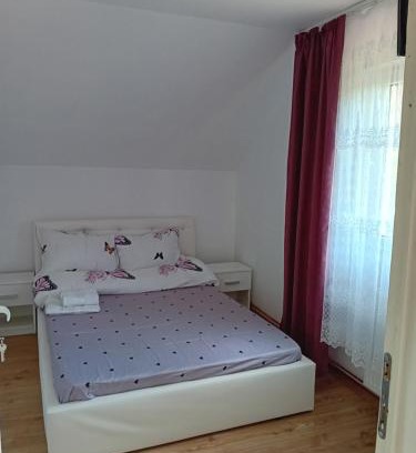 Copalnic-Manastur Cabin | Camera Verii