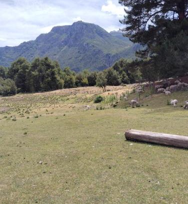 Futaleufu Other | Camping Arroyo Quila Seca