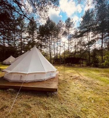Przywidz Other | Camping Ekologiczny Koziołeczek