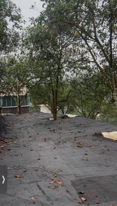 Hulu Langat Other | Camping ground at Maju farm house