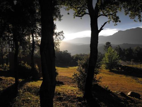 Macanet de Cabrenys Other | Camping Maçanet de Cabrenys