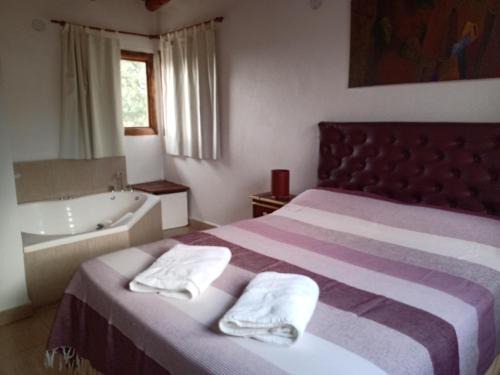 Nono House | Campo de los Zorros