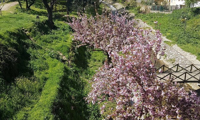 Old Town Hotel | Can Hotel