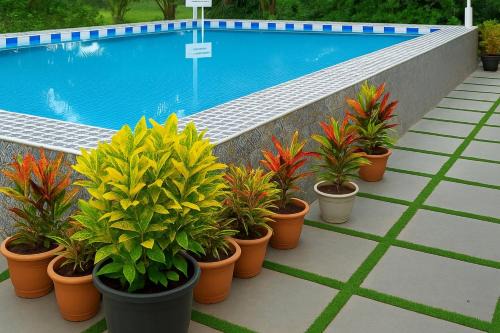 Candolim Hotel | Candoliam Cottages and Deluxe