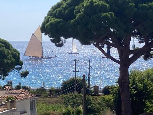 Cannes La Bocca House | Cannes Sea View, by Beach, Private Room in Shared 3-Bedroom Apartment, Private Bathroom & Balcony, Chambre avec salle de bain privative & balcon, chez l'habitant