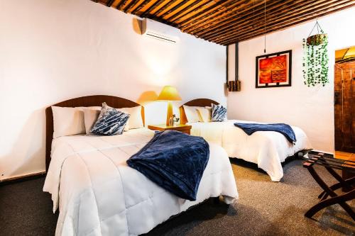 Ildefonso Green Bed & Breakfast | Capital O Posada Del Pescador, Los Cabos