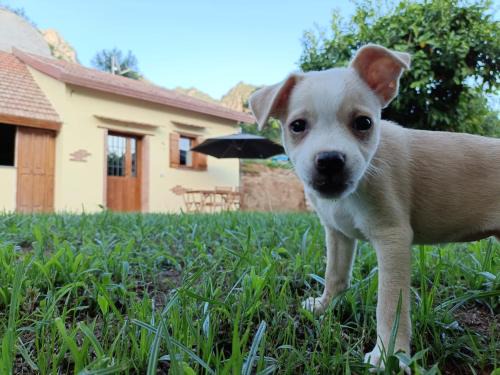 Pucara House | Capocampo Amalfi Coast