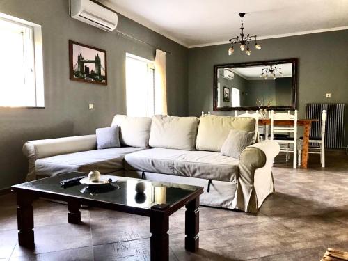 Anthousa Apartment | Captain Michalis house