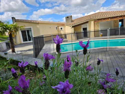 Carcassonne Villa | Carcassonne tranquillement