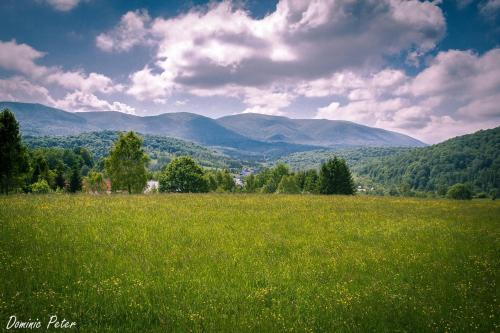 Ustrzyki Gorne House | Carynka