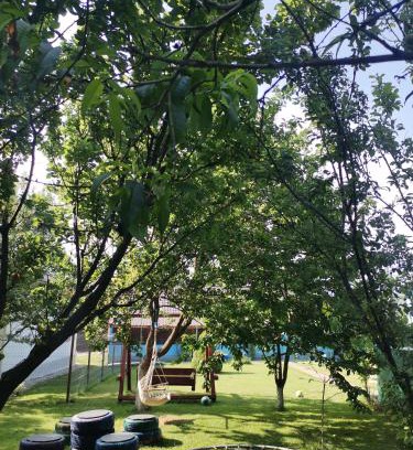 Corbu House | Casa Andrei A