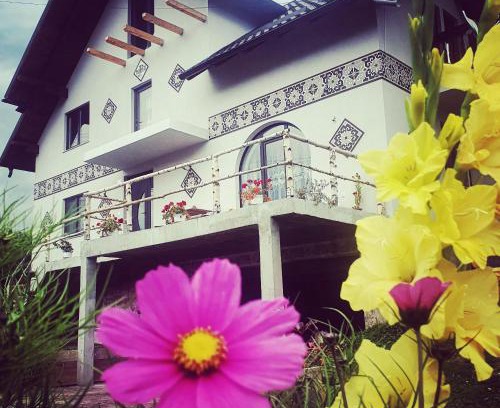Ciocanesti House | Casa Aureliana