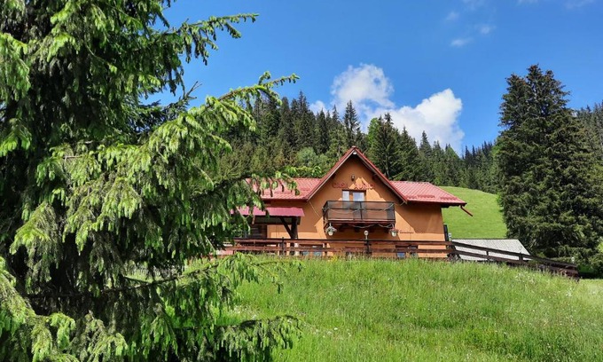 Vatra Dornei House | Casa Aurici Vatra Dornei