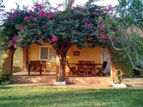 Playa de Almarda House | Casa buganvilla