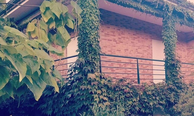 Fragoso Apartment | 🌿 Casa com Raízes e História. É Casa com Alma. É Refúgio Para Quem nos Visita