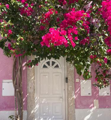 Belem Apartment | Casa Cor de Rosa