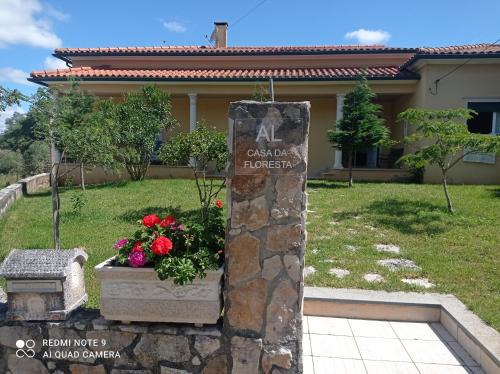 Ansiao House | Casa da Floresta