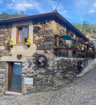 Lamego House | Casa das Flores