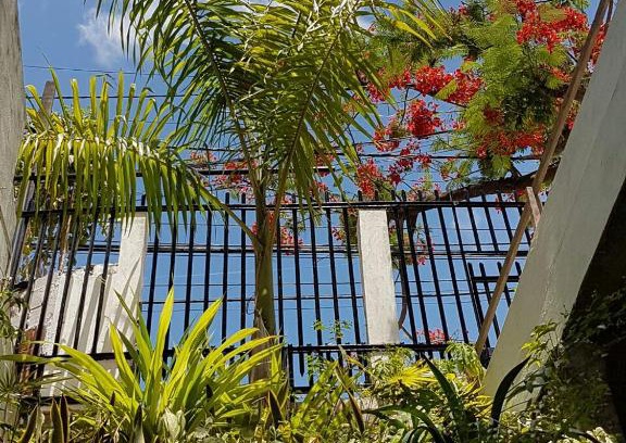 Rio Vermelho House | Casa de Arigoffe