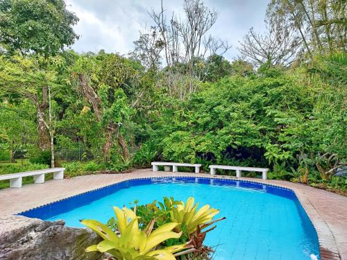El Valle de Anton House | Casa de Huéspedes Privada, piscina con agua termal