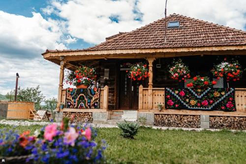 Viseu de Mijloc House | Casa de la Pârâu
