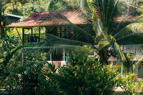 Big Creek Bed & Breakfast | Casa de Mono Bocas