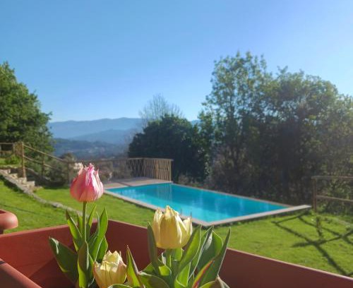 Lavradas House | Casa de Suelas