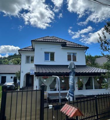 Viseu de Jos House | Casa de vacanță Fabian
