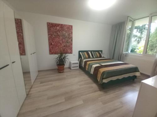 Cluj-Napoca Apartment | Casa din Parc