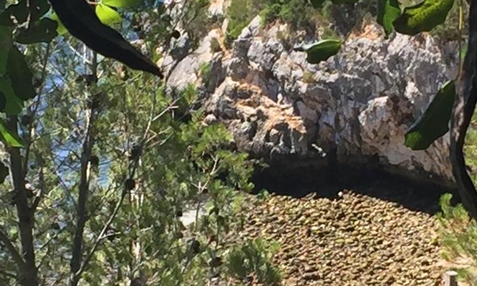 Portinho da Arrabida House | Casa do Farol da Arrábida