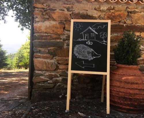 Figueiro dos Vinhos House | Casa do Ouriço
