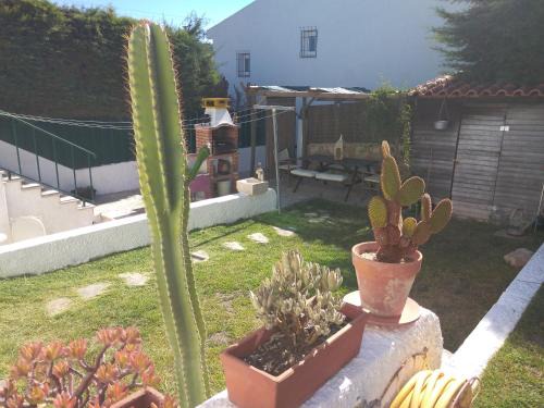 Maca House | Casa Dos Cedros