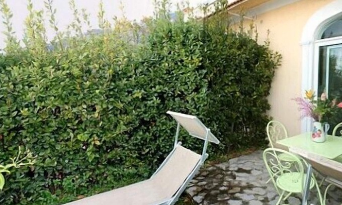 Nocelle House | Casa Ilnira D: A bright and sunny apartment in a quiet position, located on a hillside above the sea, with Free WI-FI.
