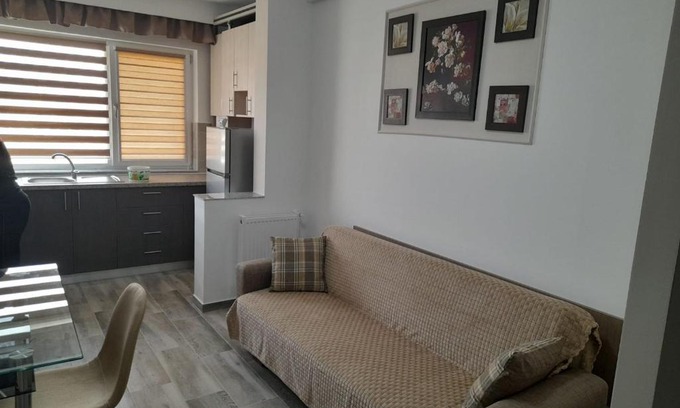 Slatina Apartment | CASA IULIA