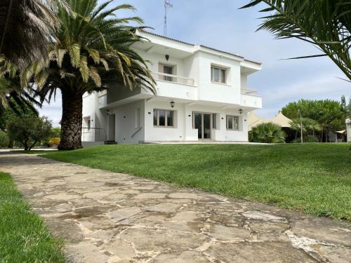 Olite House | Casa La Nava