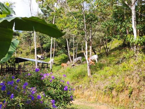 Potrero Grande House | Casa Las Gemelas