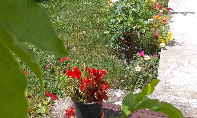 Centrul Nou House | CASA MAIS - everything you need for a great accomodation