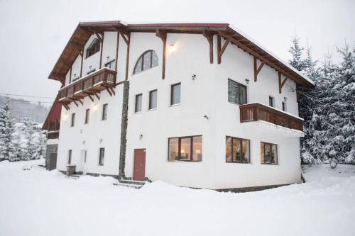 Cavnic Villa | Casa Maximia