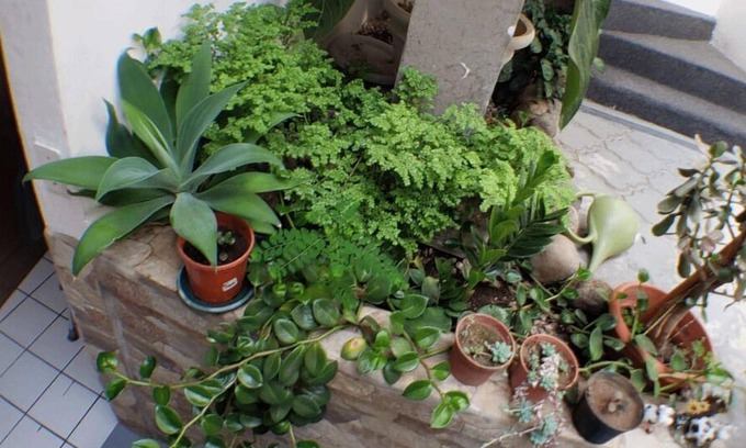 San Bosco House | Casa San Juan- Apt deluxe muy acogedor, centrico !