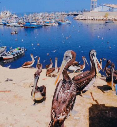 Talara House | Casa Talara