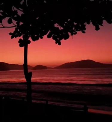 Massaguacu House | Casa tranquila Massaguaçu