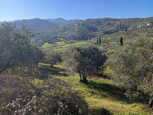 Quarrata Apartment | Casa tranquilla colonica toscana vicino a Firenze