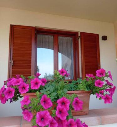 San Vincenzo Apartment | casa vacanze Lavanda