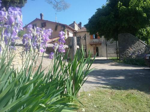 Borgo San Lorenzo Apartment | Casa Vacanze Podere Ugolini