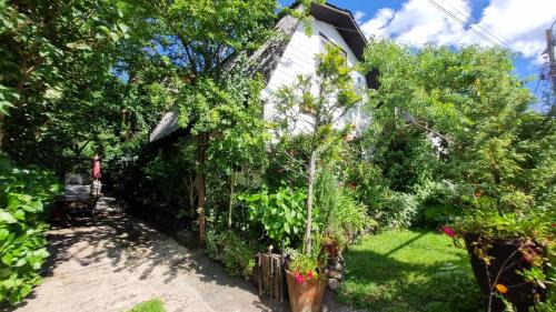 Villarrica House | Casa Villa Amanecer